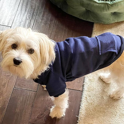 Jecikelon Soft Dog Hoodies for Small Dogs, Fleece Puppy Sweatshirt with Pockets, Warm Winter Cold Weather Coats for Pet Cat, Cute Clothes Puppy Costume (Navy, XX-Small)