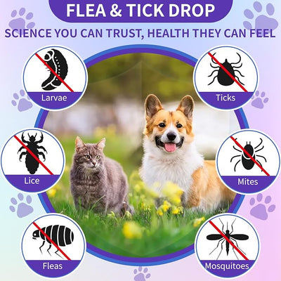 WEALLIN Flea and Tick Support for Dogs and Cats Natural Flea Treatment Drops with Multivitamin for Pets Oral Flea & Tick Prevention for Dogs and Cats Flea Herbal Drops for All Breeds and Ages