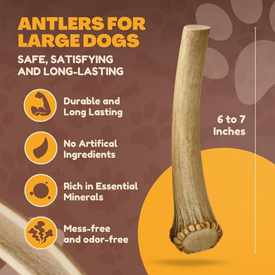 WhiteTail Naturals 1 Pound Bulk Antlers - Budget Friendly Sun Aged Deer Antler Dog Chews - Natural Chew Bones - Split and Whole Mix for Large & Medium Dogs - 4 to 5 Count