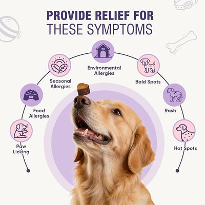 Dog Allergy Chews 200ct - Dog Allergy and Itching Skin Relief Anti Itch Aller Immune Bites for Dogs licking Paws Treatment Relief Itchy Chew Probiotics Vitamins for Skin and Coat Allergies - Lamb