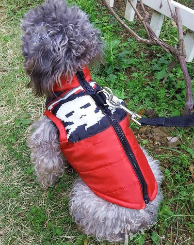 Winter Waterproof Windproof Vest Coat for Small Medium Dogs - Warm Jacket for Cold Weather (Not Suitable for Big Dogs) Red/White S