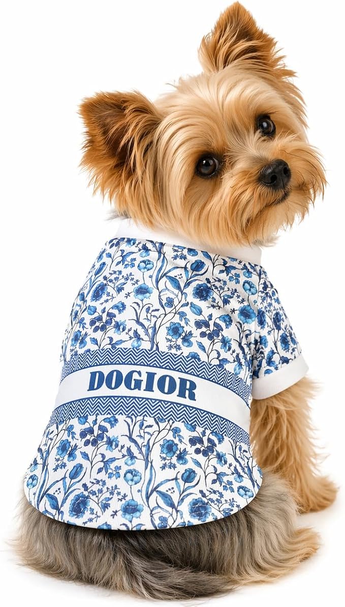 Luxury Designer Dog T Shirt – Cute Puppy Clothes for Small Dogs, Fashion Pet Tee Outfit for French Bulldogs & Chihuahuas, Everything Chic Dog Apparel