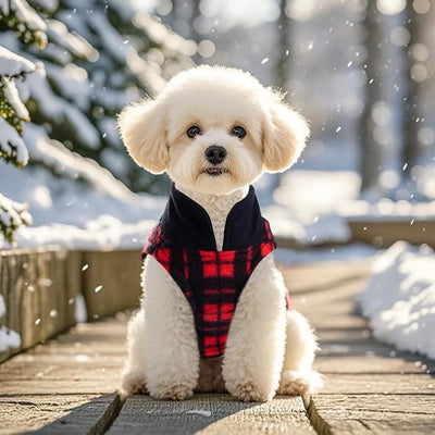 Rbenxia 1 PC Plaid Dog Sweaters with Leash Ring Soft Fleece Vest Dogs Pullover Warm Jacket Pet Dogs Clothes Winter Dog Outfits for Small Puppy Cat Pets (Black and Red, X-Small)