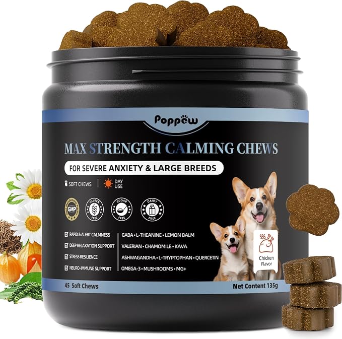 Calming Chews for Dogs - Advanced Calming Treats for Dogs Anxiety, Stress, Separation, & Thunder, Relaxation with Ashwagandha & L-Theanine, Non-Drowsy Alternative to Melatonin, Chicken Flavor, 45Ct