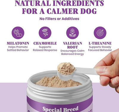Calming Supplement for Dogs with Melatonin – Dog Calming Powder with Chamomile & Valerian Root – Supports Relaxation & Composure for Travel, Fireworks & Vet Visits - Bacon Flavor - 180 Scoops