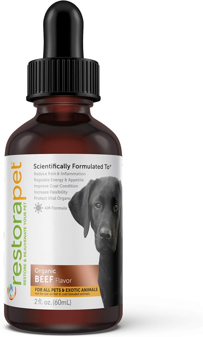1-Pack Dog & Cat Beef Liquid Multivitamin | Dog Arthritis Pain Relief | Hip & Joint Vitamins for Dogs - Anti Inflammatory Supplement for Dogs & Cats | Natural & Non-GMO, Vet Approved