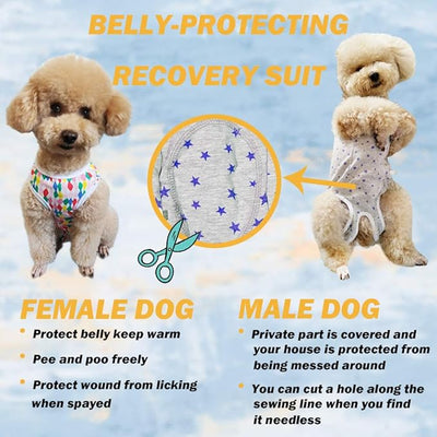 Dog’s Recovery Suit Post Surgery Shirt for Puppy, Wound Protective Clothes for Little Animals(Blue White Plaid-m)