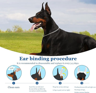 Doberman Ear Posting Kit, Dog Ear Cropping Dog Ears Stand up Care Tape Kit for Doberman Pinscher Dogs