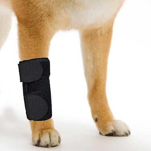 GenetGo Dog Canine Front Leg Brace Paw Compression Sleeve Joint Wraps - Protects Wounds Stop Licking & Prevents Injuries, Sprains Helps with Loss of Stability from Arthritis - Small