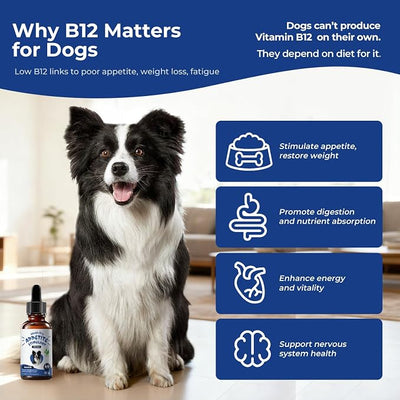 Appetite Stimulant for Dogs – Liquid Vitamin B12 Drops, Methylcobalamin(Methyl B12) Dog Supplement, Boosts Appetite, Energy, Mood, Recovery - 2 fl oz (60ml)