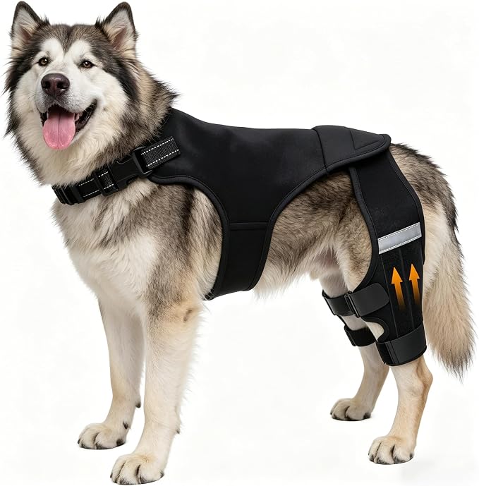 Dog Knee Braces for Torn ACL Hind Leg, Adjustable Dog Leg Braces for Back Leg with 4 Stabilizers for Luxating Patella Relieves Ligament Injury and Joint Pains