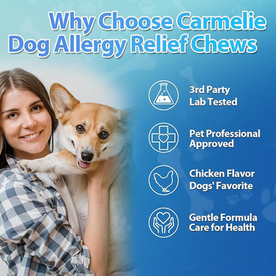 Carmelie Dog Allergy Relief Chews - Dog Itching Skin Relief 200 Chews, Yeast Treatment & Anti Itch Licking Paw, Itchy Skin and Ears for Seasonal Allergies, Probiotics Gut Digestive & Immune Support