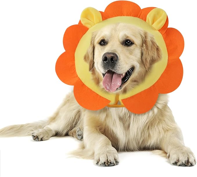 Inflatable Recovery Dog Collar, Protective Donut Cone, Adjustable Soft Collar for Dog and Cat After Surgery Prevent from Biting & Scratching EU002 - Orange Lion M