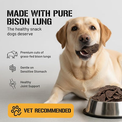 Dog Chits Bison Lung Fillets for Dogs – All-Natural, High Protein Single Ingredient Dog Treats Bison Lung Dog Treats – Grain-Free, Low-Fat – Safe with Sensitive Stomachs – 6 oz