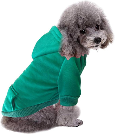 Jecikelon Soft Dog Hoodies for Small Dogs, Fleece Puppy Sweatshirt with Pockets, Warm Winter Cold Weather Coats for Pet Cat, Cute Clothes Puppy Costume (Green, XX-Small)