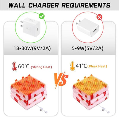 USB Powered Heated Throw Blanket for Women,50"X60" 9V 18W Portable Strawberry Print Electric Heating Blanket with 3 Heat Setting,8-Zone Graphene Heating Blankets for Couch Car Office Outdoor