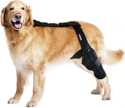 Dog Knee Brace for Torn ACL & Hind Leg Support – Adjustable Dog Hip & Leg Brace for Cruciate Ligament, Arthritis Relief, Joint Stability & Injury Recovery, Size: S