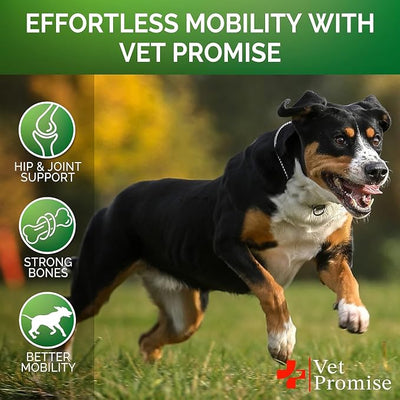 (2 Pack) Glucosamine for Dogs - Hip and Joint Supplement for Dogs - Glucosamine Chondroitin - Joint Pain Relief Pills - MSM - Hemp Oil - Advanced Health Support Supplement - 240 Mobility Chews