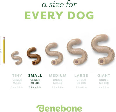 Benebone Tripe Bone Durable Dog Chew Toy for Aggressive Chewers, Real Tripe, Made in USA, Small