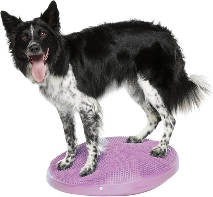 Dog Balance Disc – 22”, Razzleberry | Dog Exercise Equipment | Workout Tool for Strength, Core, Stability & Rehabilitation