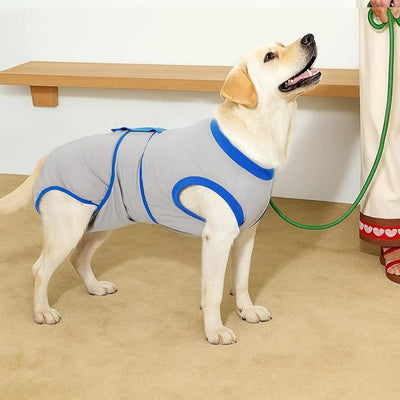 Recovery Suit for Dogs Cats After Surgery, E-Collar & Cone Alternative Surgical Suit, Prevent Licking Dog Onesies Pet Surgery Recovery Suit Soft Dog Bodysuit, Grey Blue, S