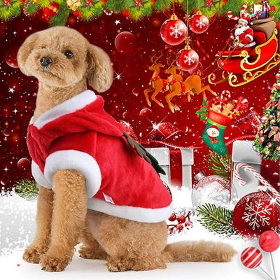 Pet Dog and Cat Christmas Clothes Costume, Large