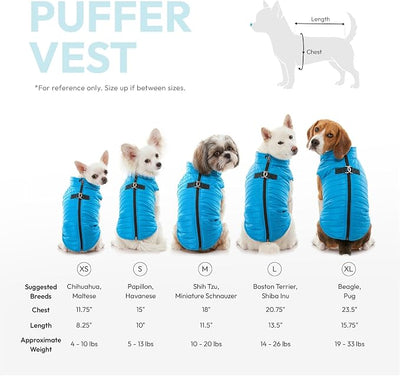 Gooby Puffer Vest - Pumpkin, Small - Ultra Thin Zip Up Windbreaker with Dual D Ring Leash - Water Resistant Dog Sweater Coat for Small Dogs