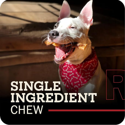 Redbarn Pet Products All Natural 5"-8" Braided Bully Sticks for Small & Large Dogs - Healthy Long Lasting Beef Chews Variety Party Pack - Single Ingredient Low Odor Rawhide Free - 8 oz Bag