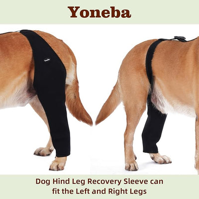 Dog Recovery Sleeve Back Leg Breathable Material,Dog Leg Sleeve to Stop Licking and Biting Firm and Secure, Adjustable Size, Comfortable Alternative to Cone Collars (Medium, Single Leg)