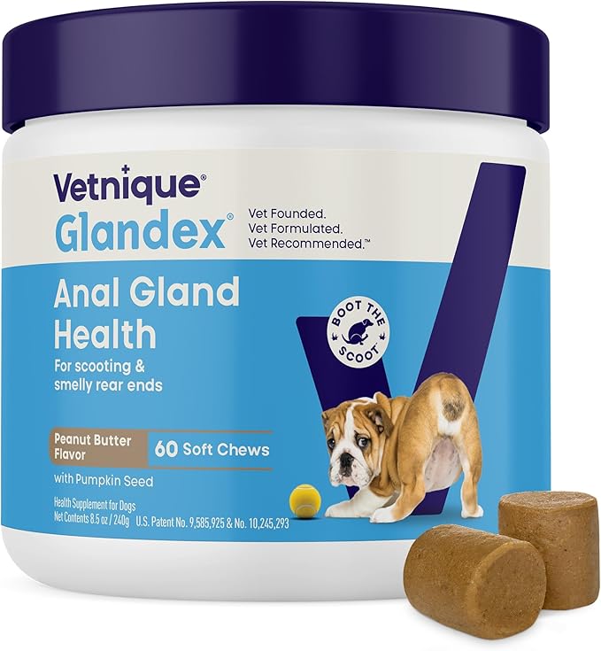 Glandex Anal Gland Soft Chew Treats with Pumpkin for Dogs Digestive Enzymes, Probiotics Fiber Supplement for Dogs Boot The Scoot (Peanut Butter Chews, 60 Count)