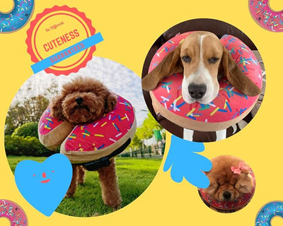 Dog Donut Collar | Alternative to Traditional or Soft Dog Cones | Inflatable Post-Surgery Cone for Small Dogs (Pink)