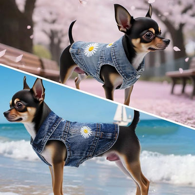 Pet Clothes Vintage Denim Dog Jacket with Daisy Embroidery - Puppy Stylish Pet Coat for Chihuahua, Yorkie Small Breeds - All-Season Comfort (Light-Blue,XX-Large)