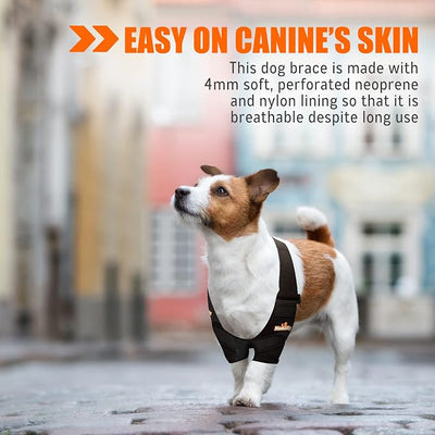NeoAlly Dog Elbow Brace Protector Pads for Canine Elbow and Shoulder Support Elbow Hygroma, Dysplasia, Osteoarthritis, Elbow Calluses, Pressure Sores and Shoulder Dislocation (Both Legs, Small)