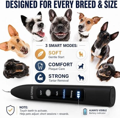 SIRGAWAIN Pet Ultrasonic Dental Cleaner — Plaque, Tartar & Stains Remover, 4 Tips, 3 Modes, LED, Contact-Activated & Smart Touch Protection, Complete Cleaning Kit for Dogs & Cats (Black)
