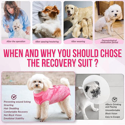 Lukovee Recovery Suit for Dogs, Onesie Surgery Recovery Suit for Female Male Dogs, Abdominal Wounds Cone E-Collar Alternative Prevent Licking Spay Recovery Suit (Pink,Small)
