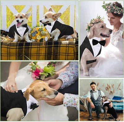 2 Pack Dog Tuxedo and Bandana Set, Pet Costume Formal Party Suit, Dog Clothes for Small Medium Large Dogs, Dog Prince Bow Tie Shirt Dog Wedding Attire for Golden Retriever (Stripes, X-Large)