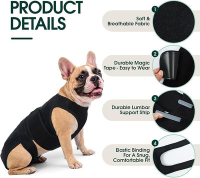 Dog Back Brace for IVDD Recovery, Adjustable Dog Spine Support Harness for Dachshund Corgi French Bulldog Pug, Pain Relief Back Protector for Senior,Post‑Surgery,Long‑Bodied & Overweight Dogs, 2XL