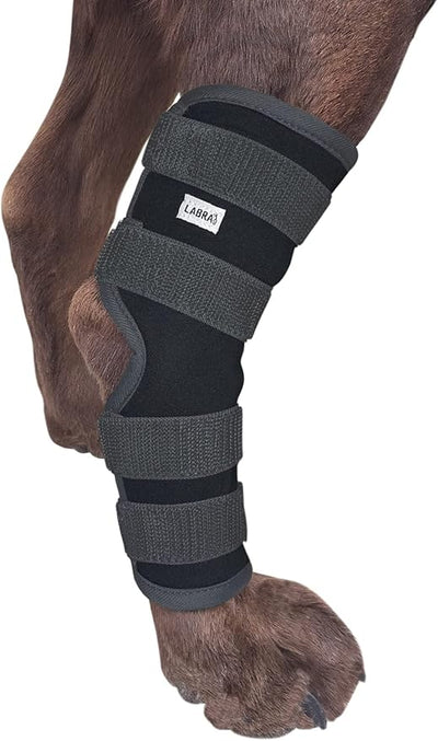 Labra Dog Rear Leg Hock Joint Compression Wrap - Supportive Brace for Weak Back Legs, ACL Tear, and Joint Discomfort - Adjustable Hind Leg Support for Senior Dogs - Small