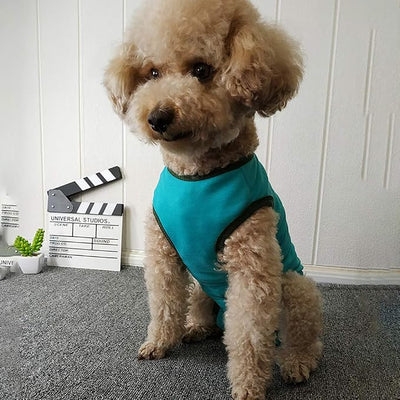 Dog’s Recovery Suit Post Surgery Shirt for Puppy, Wound Protective Clothes for Little Animals(Blue-s)
