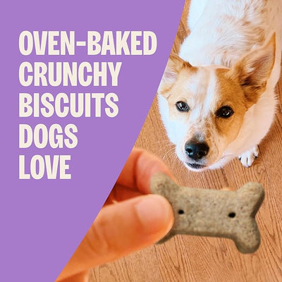 Wellness Old Mother Hubbard Classic Original Mix Dog Biscuits, Natural Training Treats, 4 Flavors, Mini Size, 20 oz Bag