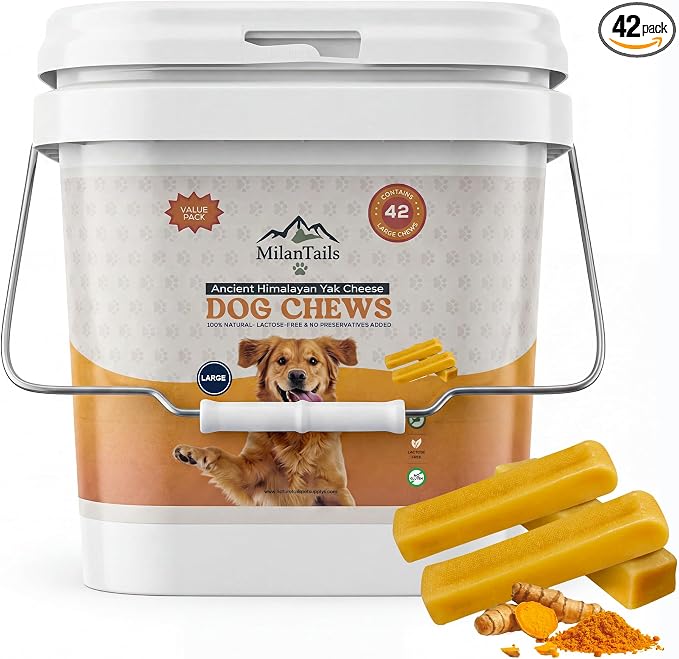 Premium Natural Fruit-Flavored Himalayan Yak Chew for Dogs, All-Natural, Long-Lasting (Large 42 Pack Bucket, Turmeric)