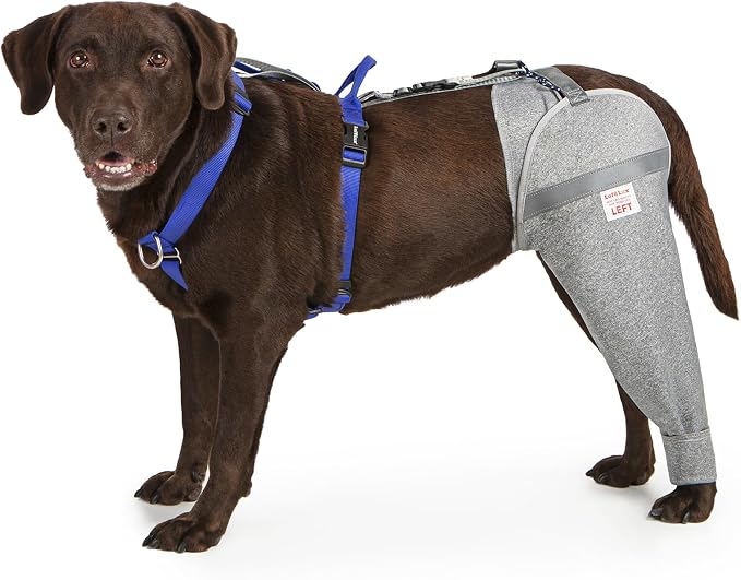 Dog Leg Sleeve for Stop Licking & Post-Surgery Recovery | Protects Injured Rear Legs from Excessive Licking & Scratching | Cone Alternative with Breathable Fabric | Easy to Use (Grey, X-Large)