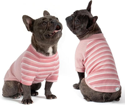 KYEESE 2Pack Waffle Dog Shirt with Sleeves, Lightweight Dog T Shirts for Small Dogs Girl, Breathable Pet Tee Shirts Soft Dogs Clothes for Daily Wear, Pink+Striped, M