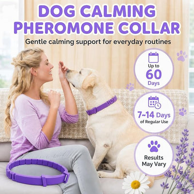 Calming Collar for Dogs 4 Pack - Up to 240 Days Pheromone Dog Collar for Anxiety and Stress Support - Fits Small Medium Large Dogs, Purple