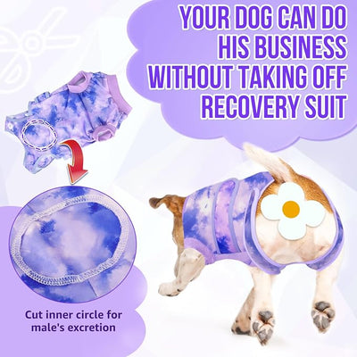 SlowTon Dog Surgery Recovery Suit - Zipper On Dog Onesies After Surgery for Female Male Dogs, Abdominal Wounds Bandages Cone/E-Collar Alternative Surgical Body Suit Anti-Licking (Purple, S)