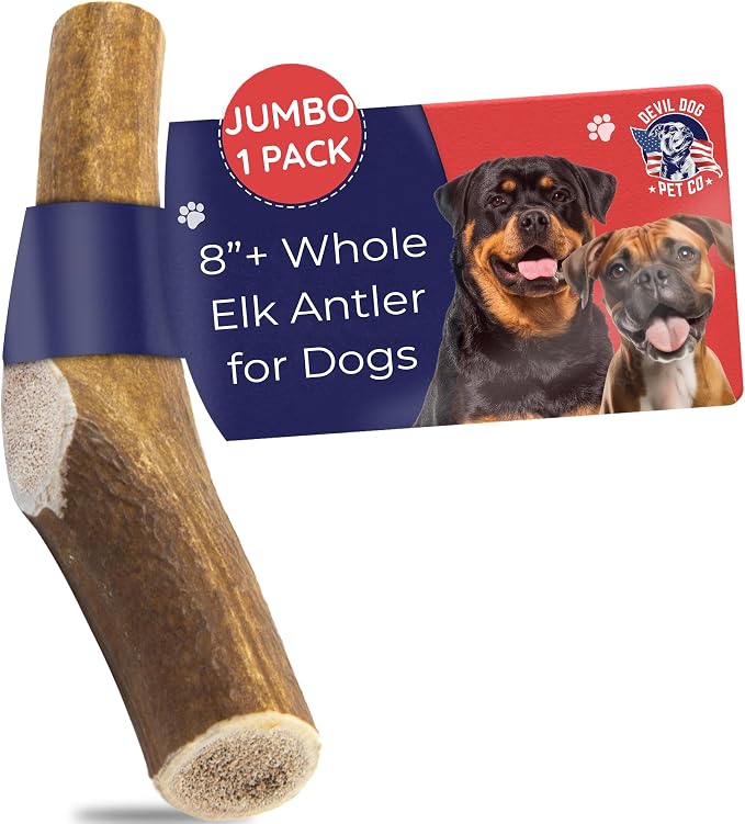 Elk Antlers for Dogs, Natural Dog Chew for Aggressive Chewers - Long Lasting and Odor Free - USA Sourced - Cleaner Teeth, Anxiety & Boredom Relief - Whole Jumbo 8"+ - Antler Bone