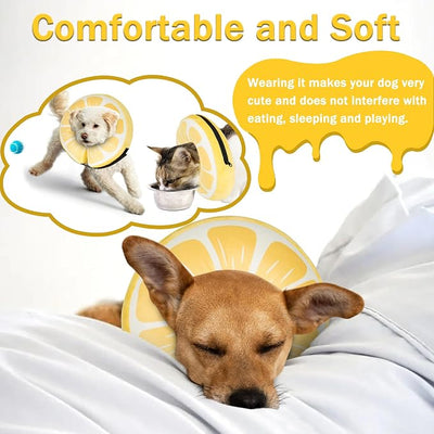 Inflatable Dog Cone Collar for Large Medium Small Dogs, Soft Adjustable Recovery Cone for Dogs Cats,Dog Neck Donut Alternative After Surgery(Lemon,Medium