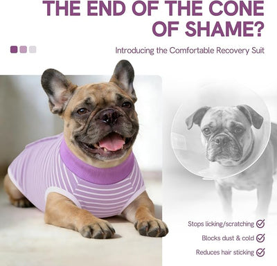 SAWMONG Recovery Suit for Dogs Female Male, Cotton Breathable Dog Onesie After Surgery Spay Neuter, Professional Dog Surgical Suit, Substitute Pet E-Collar Cone, Purple, XX-Large