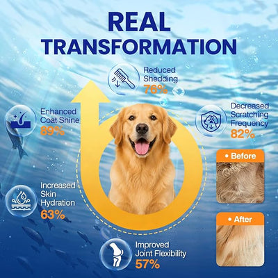 Omega 3 Skin and Coat Supplement for Dogs 200 Chews Dog Fish Oil Supplements with EPA & DHA Fatty Acids Dry Skin Relief for Dogs Shedding Allergy Itching Promotes Heart Hip Joint Health Salmon Flavor