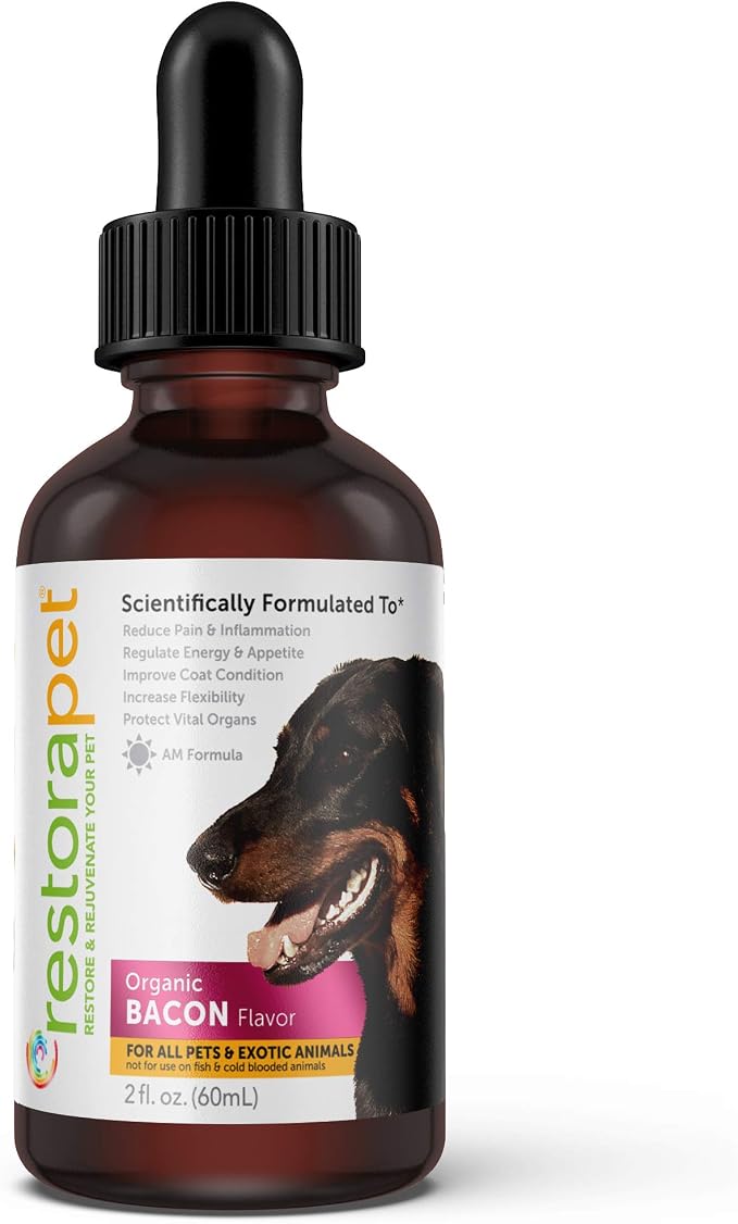 1-Pack Dog & Cat Bacon Liquid Multivitamin | Dog Arthritis Pain Relief | Hip & Joint Vitamins for Dogs - Anti Inflammatory Supplement for Dogs & Cats | Plant-Based, Non-GMO, Vet Approved